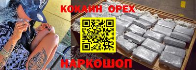 крисы Новодвинск