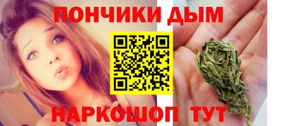 крисы Новодвинск