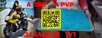 крисы Новодвинск