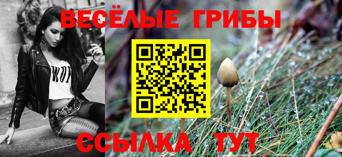 Псилоцибиновые грибы Psilocybe Советск