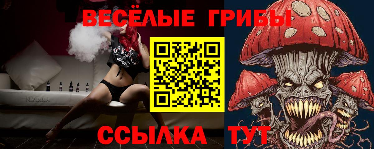 магазин продажи наркотиков  Галлюциногенные грибы ЛСД  Советск  Вход с VPN  Псилоцибиновые грибы GOLDEN TEACHER 